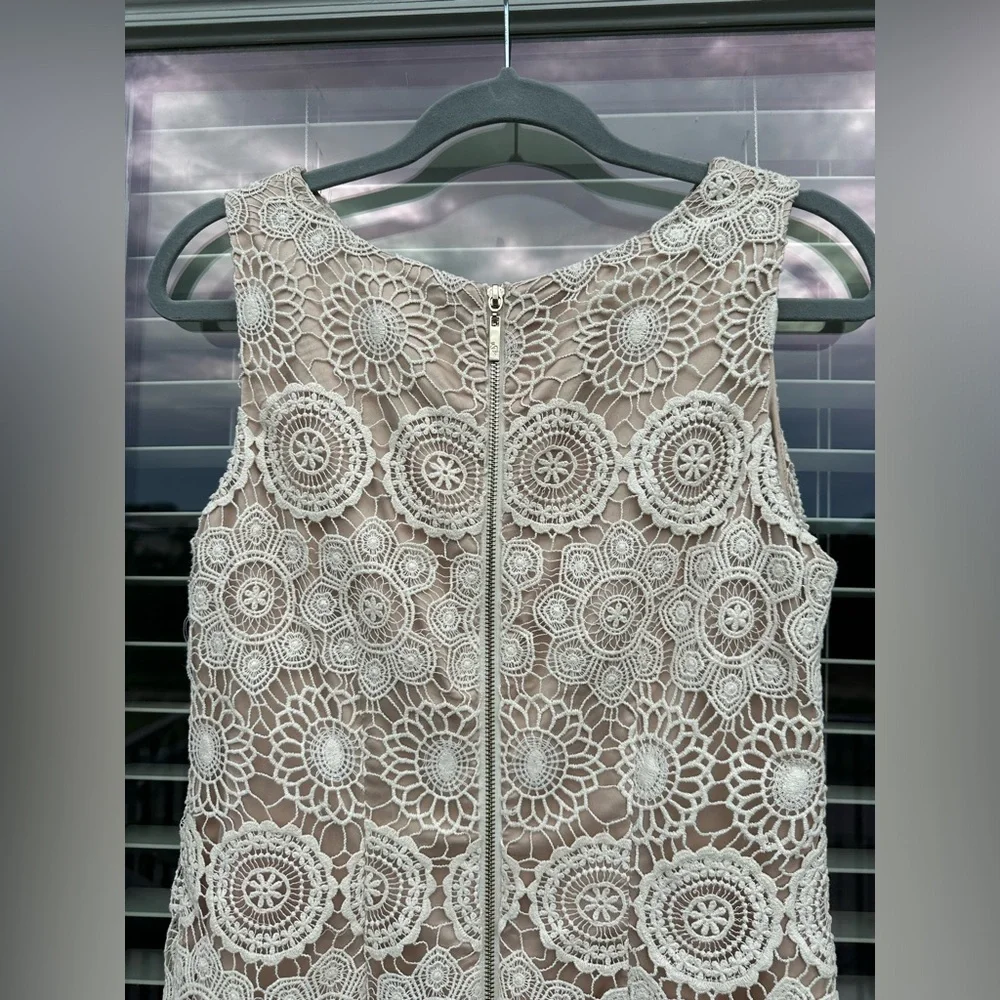 Eliza J Lace Sleeveless Shift Dress Size 6 Crochet Scalloped Hem Bohemian - Picture 5 of 9